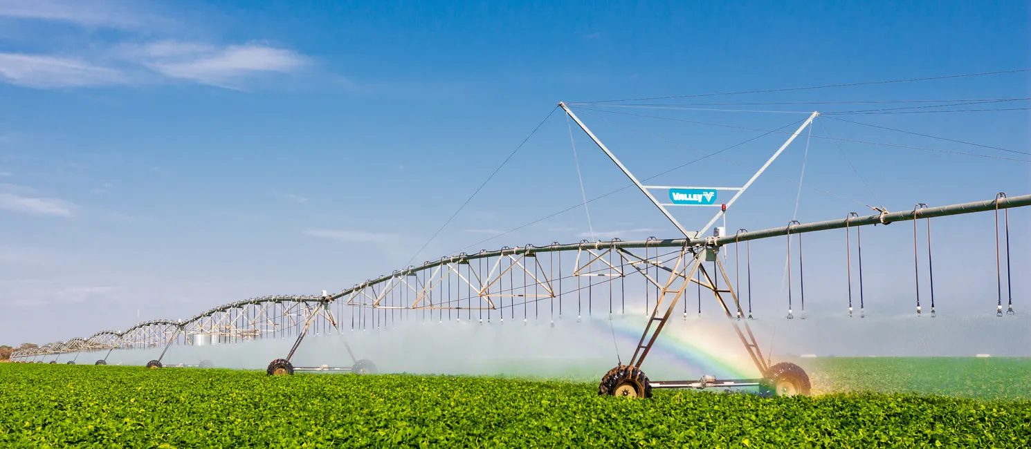 IA é utilizada para otimizar o uso da água, garantindo irrigação mais eficiente e com menor desperdício