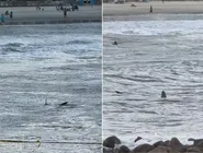 Daniela Almeida Vera, de 81 anos, morreu logo após a descoberta de feto mumificado no útero