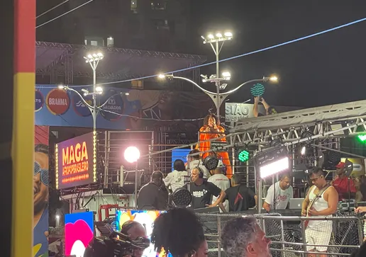 No Carnaval de 2025, foram 55 localizados pelo sistema