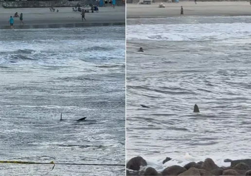 Neymar e Luana Piovani