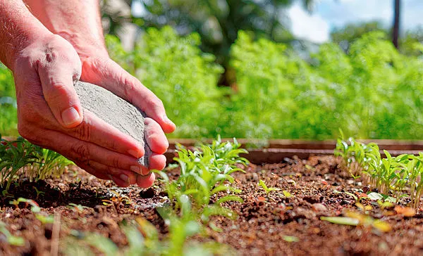 Imagem ilustrativa da imagem O futuro do agro depende do que o cidadão  pensa de quem produz