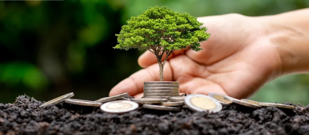 Imagem ilustrativa da imagem Brasil passa de relatórios de sustentabilidade obrigatórios para voluntários