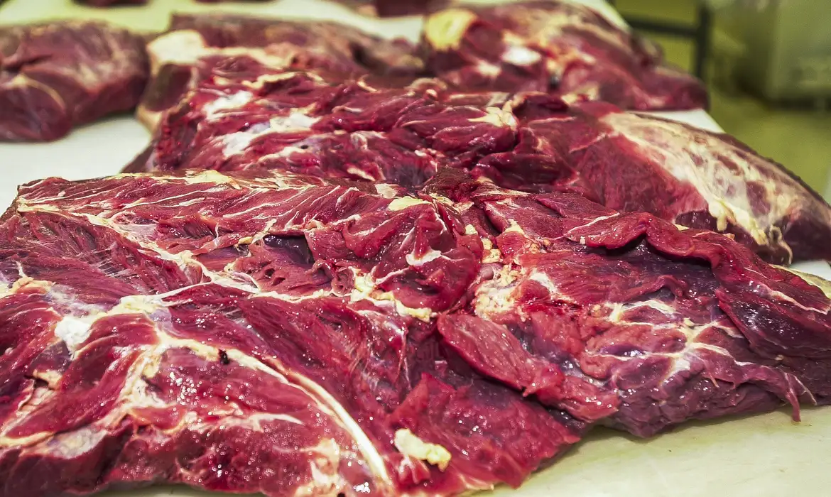 Carnes brasileiras passam a ser vetadas na Europa