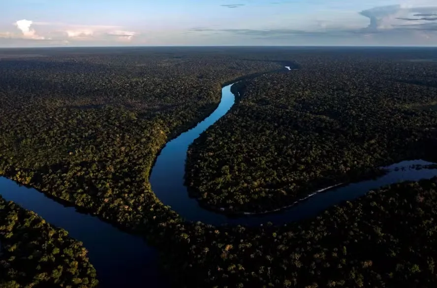 O total de áreas sob alerta na Amazônia entre agosto de 2025 e maio de 2026 foi o menor já registrado