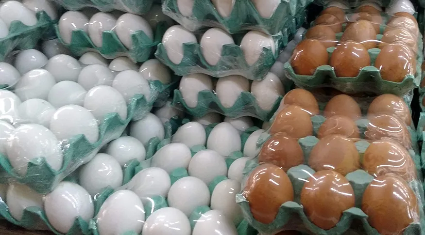 Imagem ilustrativa da imagem Do vilão ao queridinho: consumo de ovos dispara no Brasil e vira base de dietas