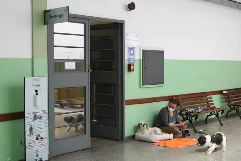 Medicina Veterinária