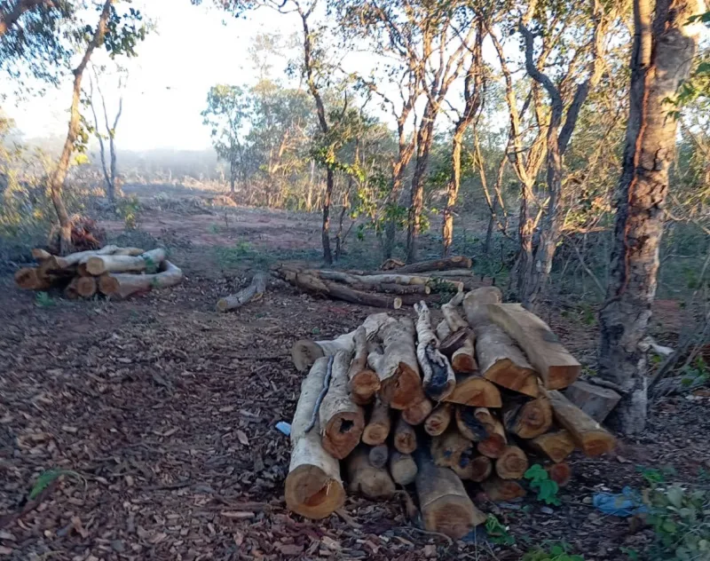 Denunciantes afirmam que buscam preservação ecológica da área e cumprimento estrito da lei de sucessões