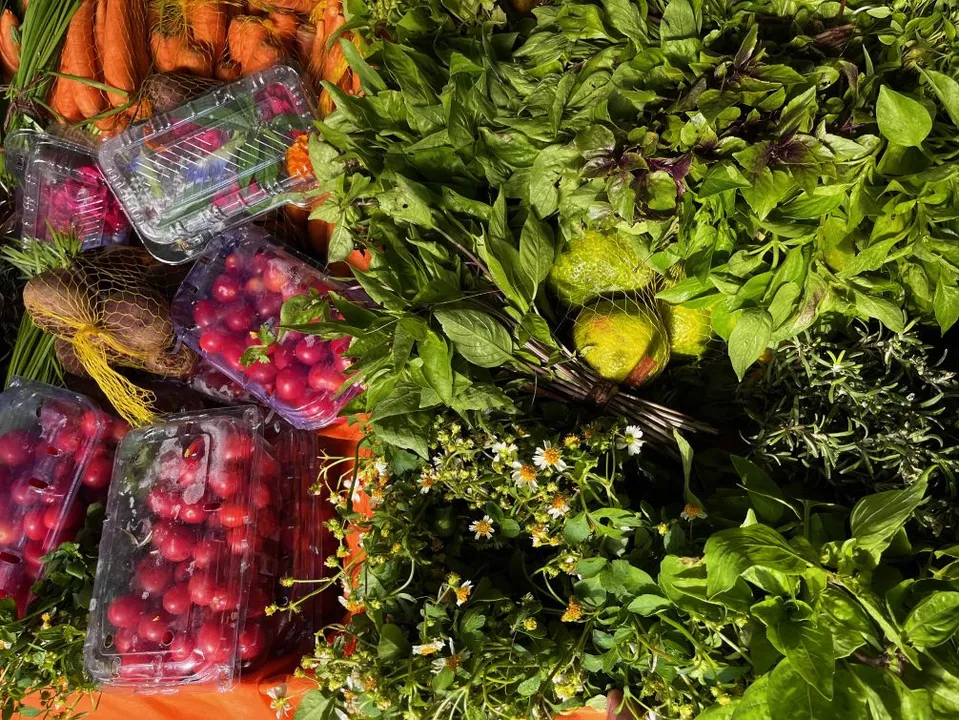 Quinta edição do ENPEGASTRO acontece entre os dias 8 e 12 de junho
