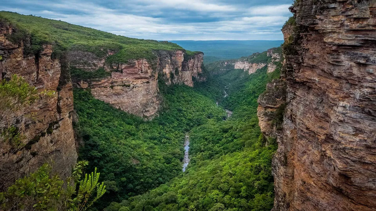 Imagem ilustrativa da imagem Vida silvestre ganha proteção na Chapada