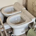 Homem é preso após invadir obra de delegacia e furtar vaso sanitário na Bahia imagem
