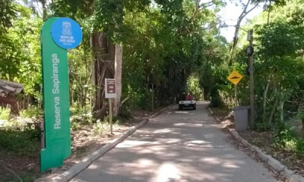 Devastação em reserva ambiental da Praia do Forte é apurada pelo MPF