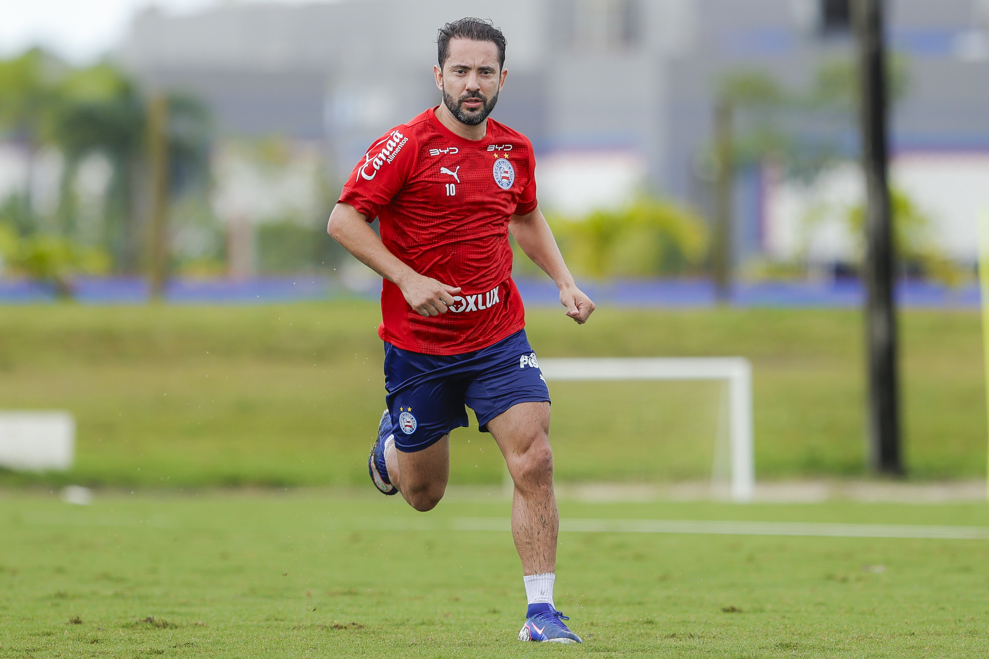 Treino do Bahia tem Everton Ribeiro, Alejo Veliz e Pivetes de Aço
