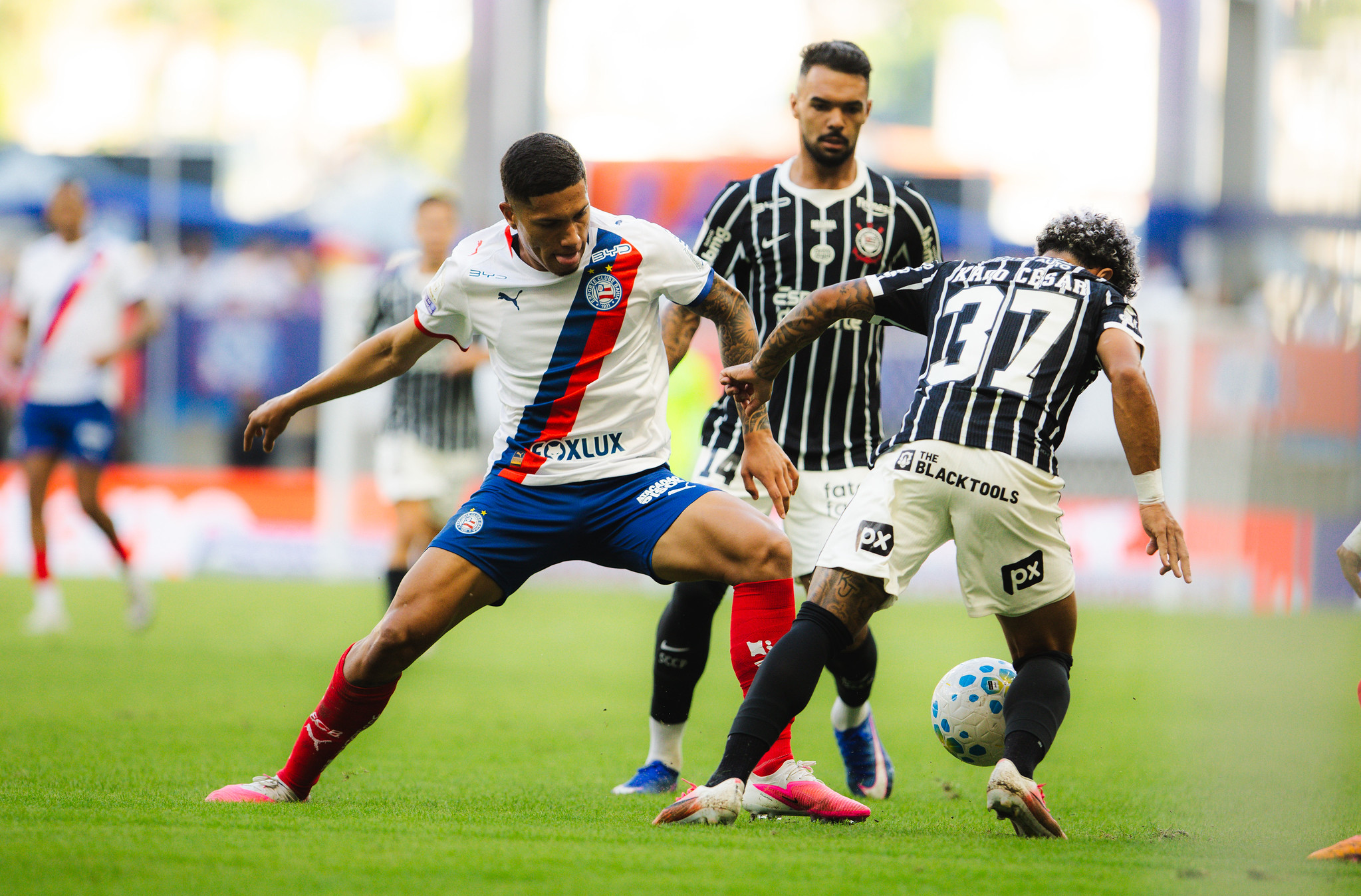 David Duarte e Zé Guilherme desfalcam Bahia contra o Fluminense