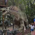 Complexo Zoológico de São Paulo tem entrada grátis para crianças em outubro imagem