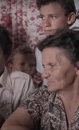 Dia do Nordestino: confira filmes ambientados no Nordeste
