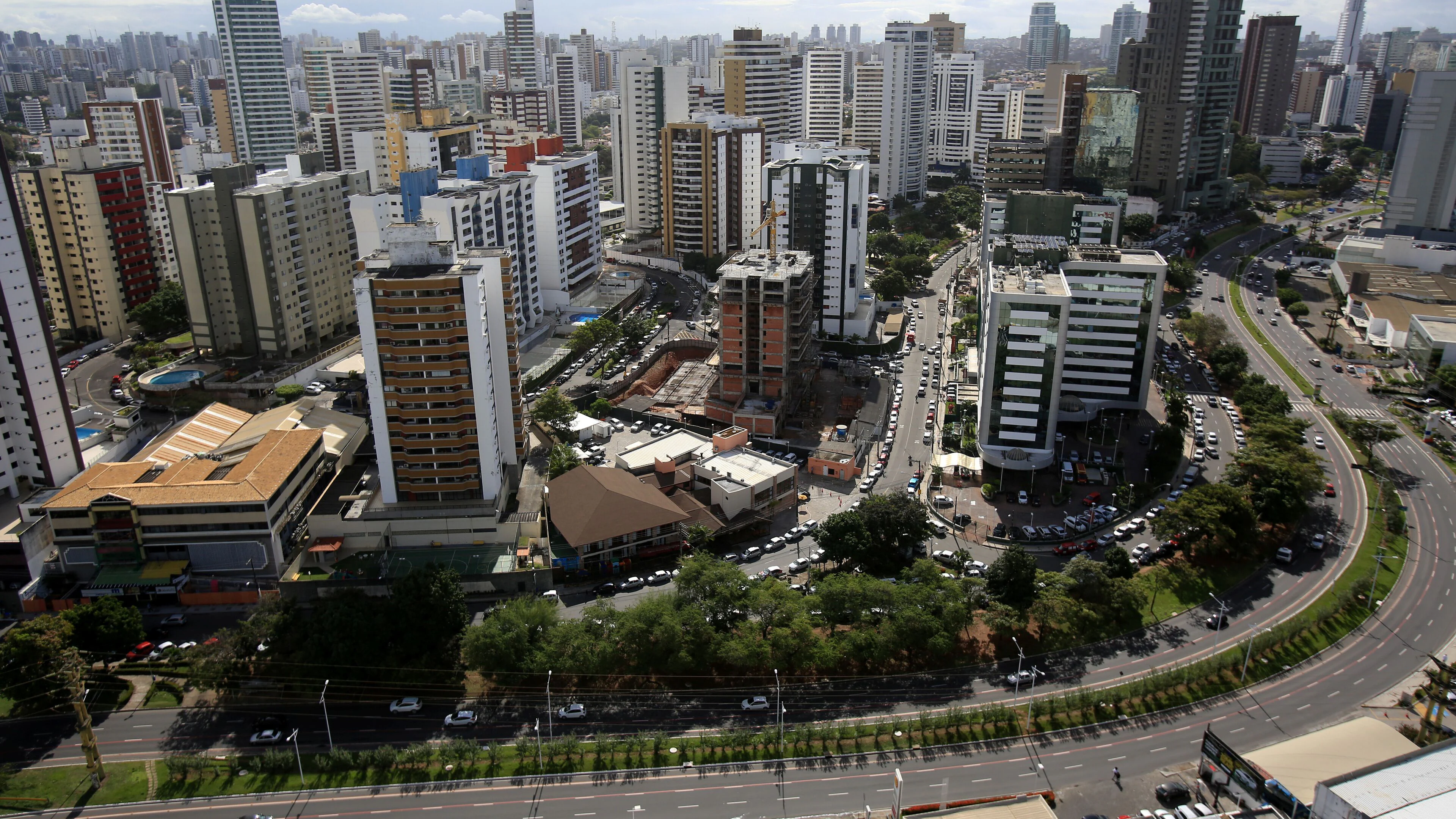 Apenas 45,5% dos brasileiros têm três ou mais árvores perto de casa