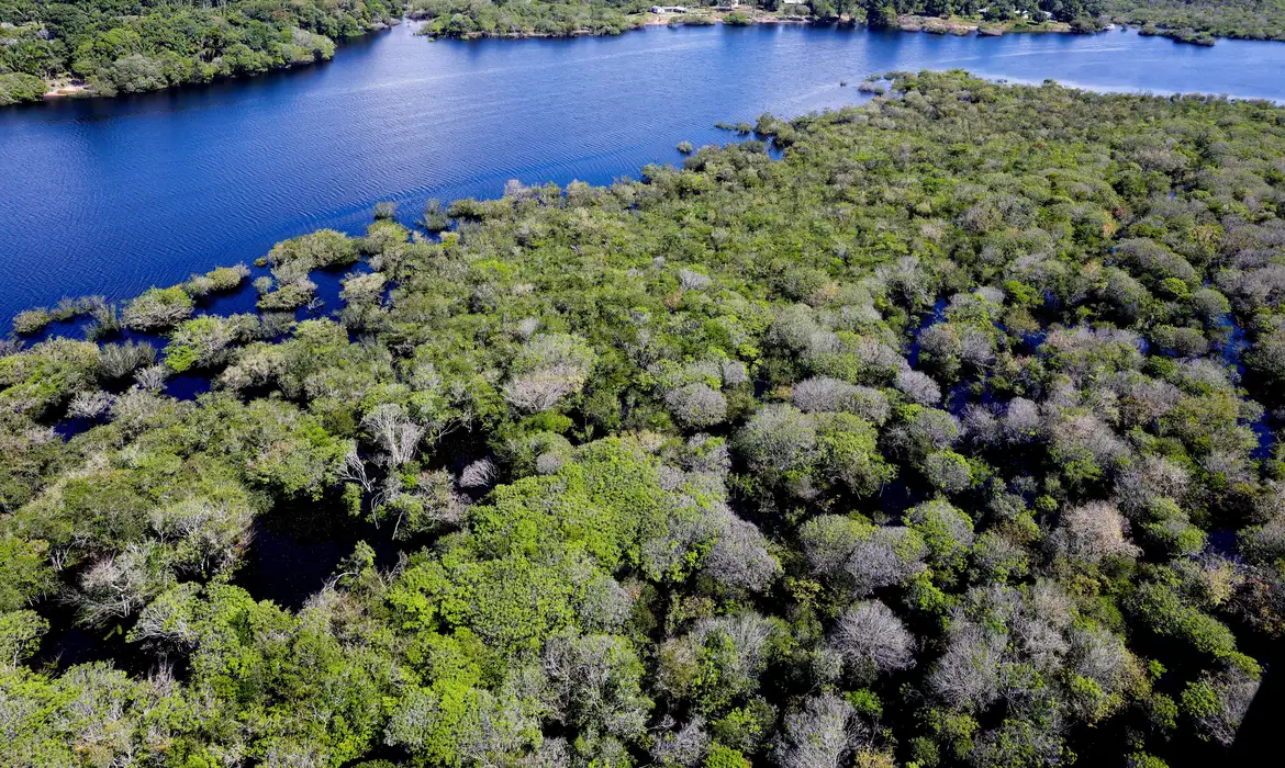 Brasil alcança menor taxa de desmatamento na Amazônia e Cerrado