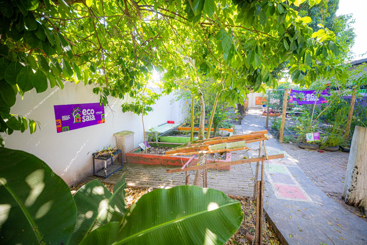 Horta escolar de Camaçari vira espaço de ciência e aprendizagem
