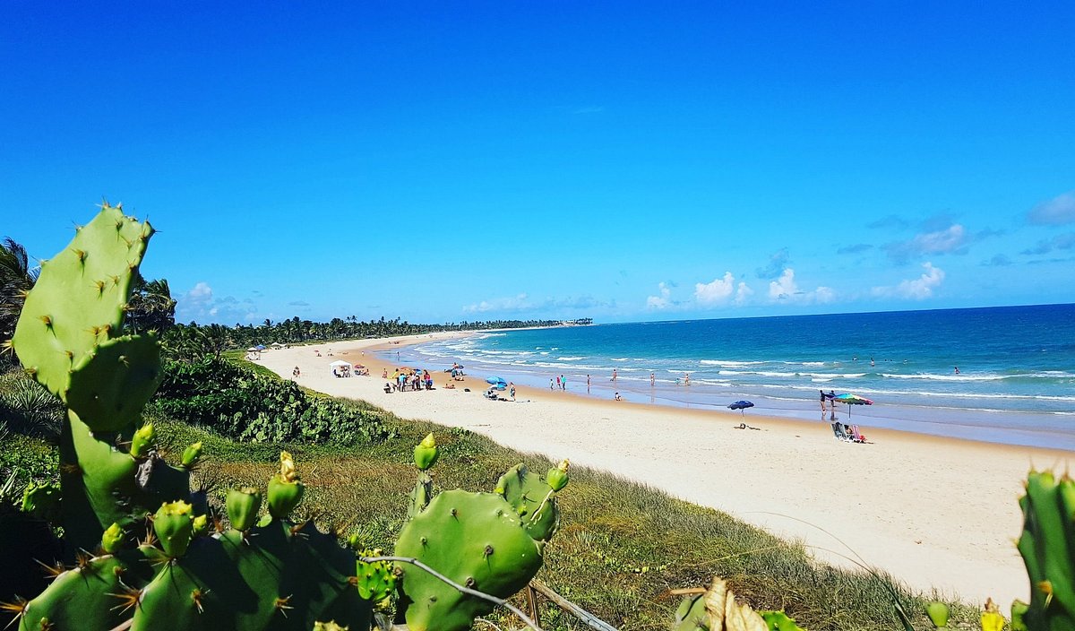 Bahia tem 7 praias com Bandeira Azul, 4 delas em Camaçari