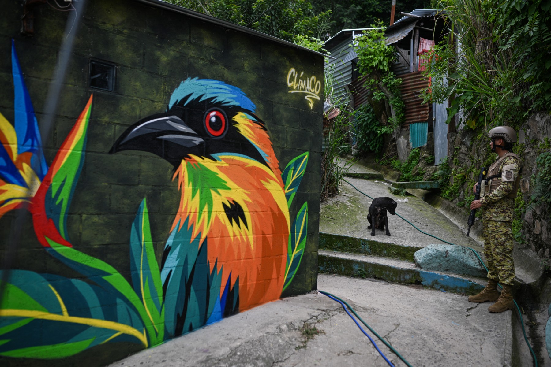 Mulheres transformam com arte antiga zona dominada por gangues