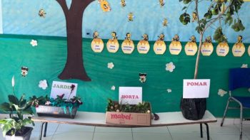Programa de aprendizagem criativa chega a sete escolas de Correntina