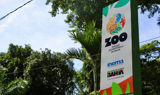 Zoológico de Salvador anuncia visitas noturnas; veja como participar