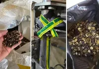 Café falsificado: megaoperação fecha 19 fábricas e apreende 82 toneladas de produto imagem