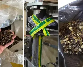 Café falsificado: megaoperação fecha 19 fábricas e apreende 82 toneladas de produto