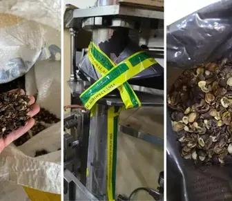 Café falsificado: megaoperação fecha 19 fábricas e apreende 82 toneladas de produto