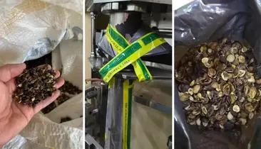 Café falsificado: megaoperação fecha 19 fábricas e apreende 82 toneladas de produto