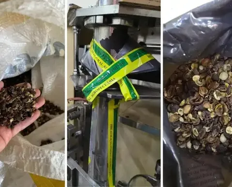 Café falsificado: megaoperação fecha 19 fábricas e apreende 82 toneladas de produto