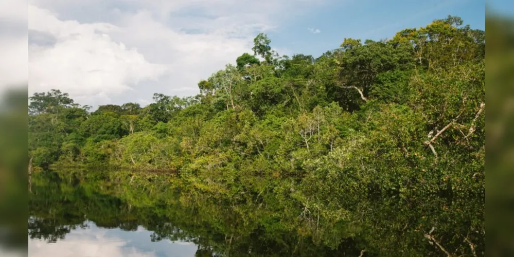 Amazônia Legal ocupa pouco mais de 5 milhões de km²