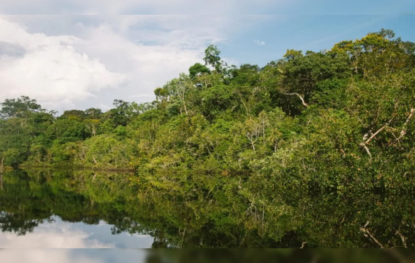 Amazônia Legal ocupa pouco mais de 5 milhões de km²