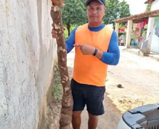 Homem colhe mandioca de 30 kg em distrito de Feira de Santana