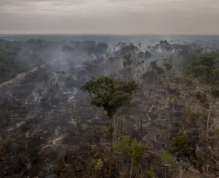 Desmatamento no Brasil cresceu 20% em 2021, aponta relatório