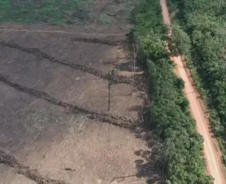 Amazônia Legal possui desmatamento recorde em 15 anos, cita Imazon