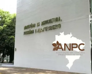 Lançado edital que institui política do preço mínimo do Cacau