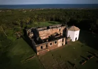 Festival Mapping do Castelo é realizado em Praia do Forte