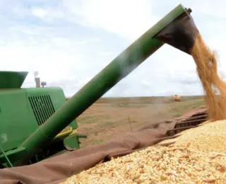 Bahia deve produzir mais de 12 milhões de toneladas de grãos