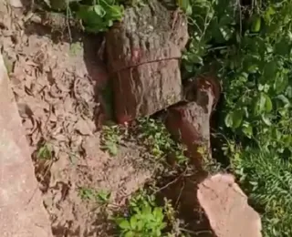 Prefeitura de Simões Filho derruba árvores para construção de praça