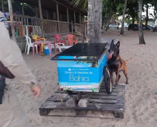 Cão farejador descobre drogas em carrinho no Porto Seguro