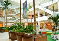 Dia do Consumidor: confira programação em Salvador