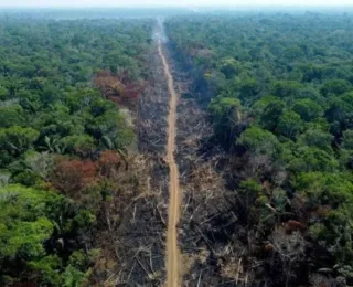 Amazônia e Cerrado batem recorde de alertas de desmatamento