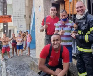 Dois animais são resgatados de incêndio em Salvador