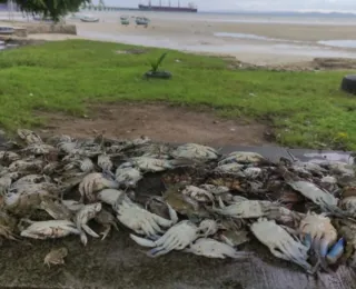 Pescadores acusam empresa de descarte inadequado de químicos