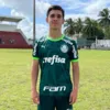 Palmeiras vence e passa em primeiro no Grupo C da Copa 2 de Julho - Imagem