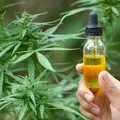 Estado é obrigado a fornecer medicação à base de canabidiol à criança imagem