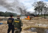 Ações do Ibama diminuem alertas de garimpo ilegal no Pará