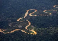 Ataque a tiros em aldeia yanomami mata criança e deixa cinco feridos