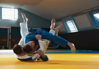 Audiência pública sobre importância das artes marciais acontece na 3ª